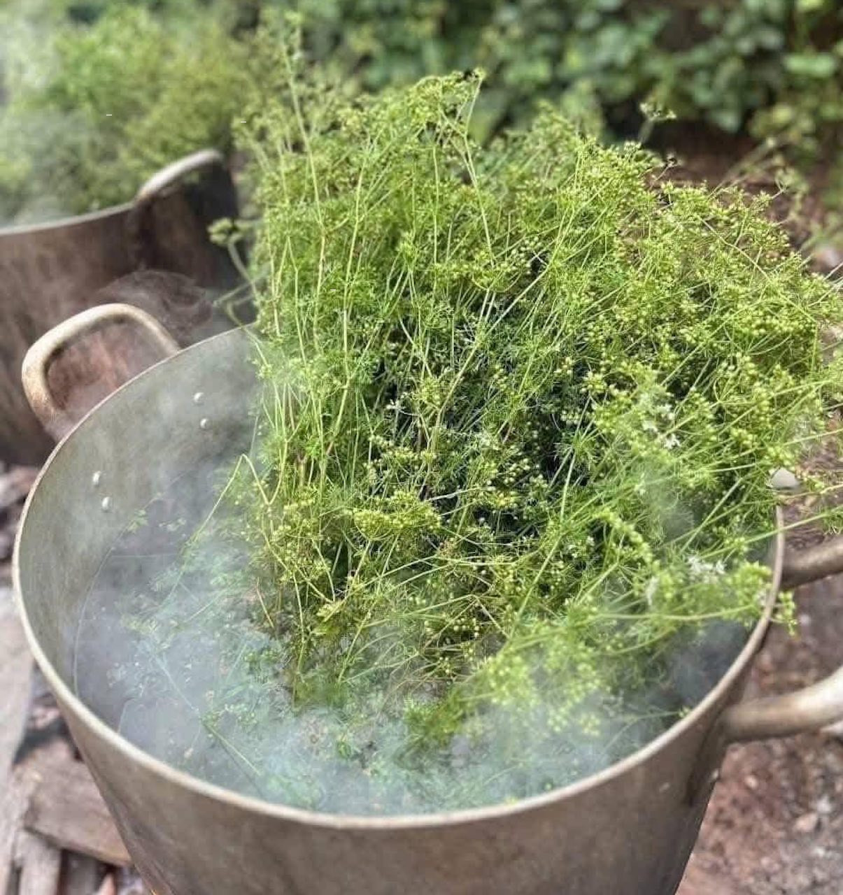 Xông lá mùi già ngày Tết, không phải ai cũng nên làm插图 615449593_2056101818565110_3149810192315890784_n.jpg