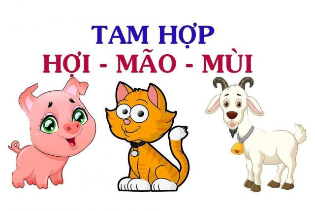 3 con giáp gặp Tam Tai 2026 Hợi – Mão – Mùi ngay ngày đầu năm mới nên làm điều này để hóa giải, đón may mắn - Ảnh 3.