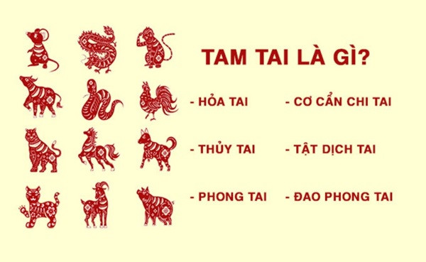 3 con giáp gặp Tam Tai 2026 Hợi – Mão – Mùi ngay ngày đầu năm mới nên làm điều này để hóa giải, đón may mắn - Ảnh 2.