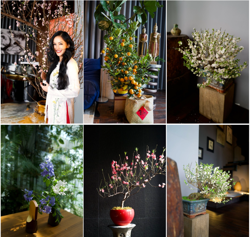 Biệt thự tinh tế của diva Hồng Nhung, căn nhà ‘độc, lạ’ ngày Tết của H’hen Niê插图4 bietthu3.png