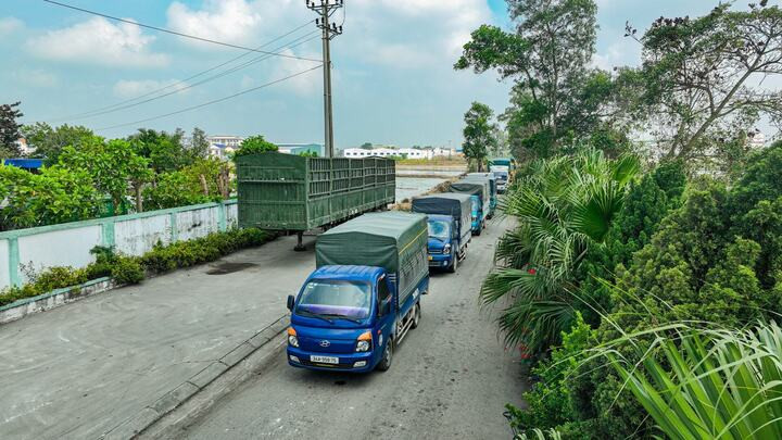 Đoàn xe dùng để chở số giá đỗ ngâm hóa chất đi tiêu hủy.