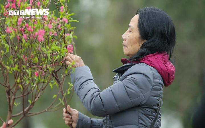 Tết Nguyên đán năm nay, dự báo miền Bắc và miền Trung thời tiết ấm áp.