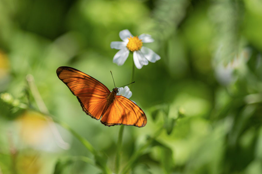 Ngày sinh Âm lịch của người sống thọ, càng già càng hưởng phúc, con cháu ba đời khấm khá - Ảnh 4.