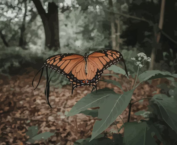 Ngày sinh Âm lịch của người sống thọ, càng già càng hưởng phúc, con cháu ba đời khấm khá - Ảnh 3.