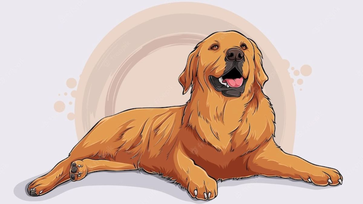 tu vi tuoi tuat 2024 2.jpg