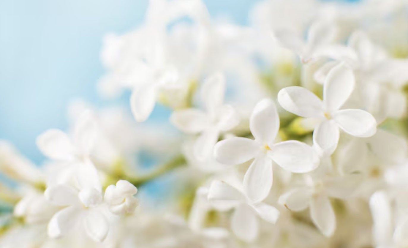 Tháng sinh Âm lịch của người quyết đoán: Số mệnh tôi luyện thành người dẫn đầu - Ảnh 1.