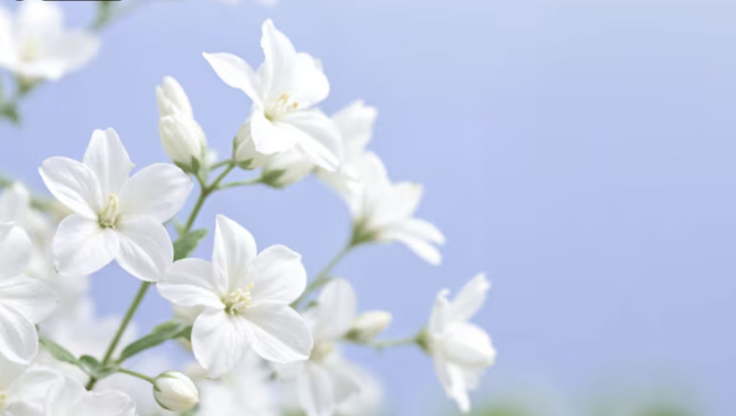 Tháng sinh Âm lịch của người quyết đoán: Số mệnh tôi luyện thành người dẫn đầu - Ảnh 2.