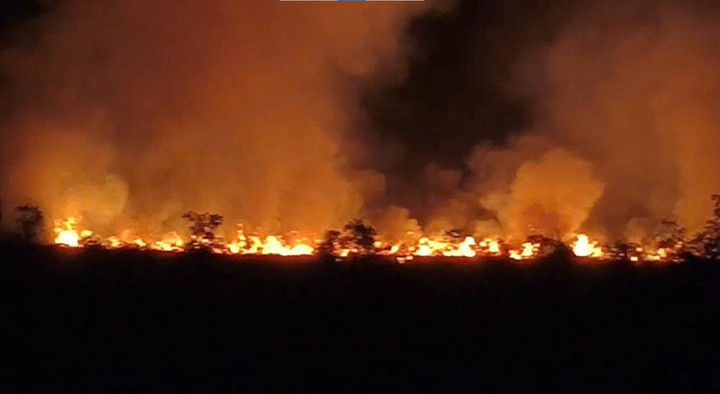 Đám cháy tại Khu bảo tồn Loài – Sinh cảnh Phú Mỹ, xã Giang Thành, tỉnh An Giang.