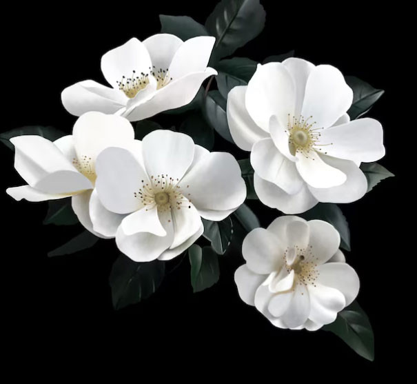 3 khung giờ sinh Âm lịch báo hiệu cuộc đời khổ trước sướng sau, trung niên sung túc - Ảnh 1.