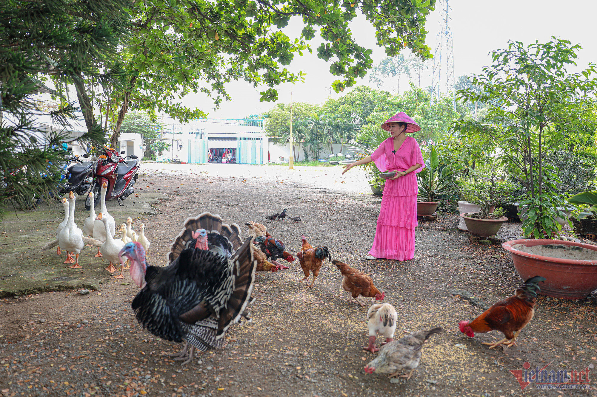 Ca sĩ Mỹ Lệ ở tuổi 54 sống viên mãn bên biệt thự 1 . 000 M2 tại TP HCM - Ảnh 19.