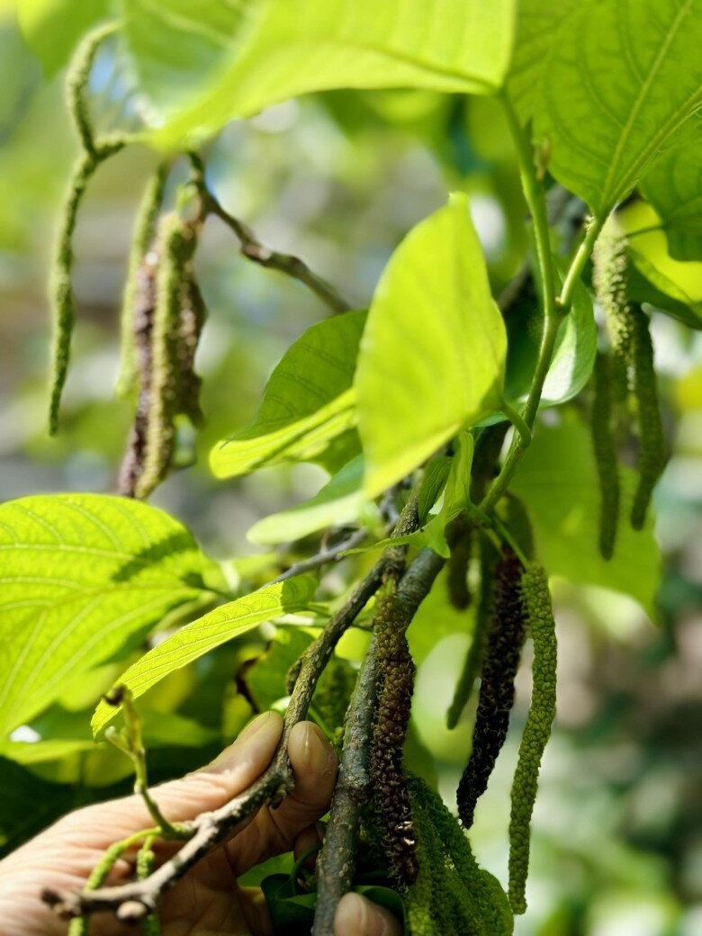 Ca sĩ Mỹ Lệ ở tuổi 54 sống viên mãn bên biệt thự 1 . 000 M2 tại TP HCM - Ảnh 18.