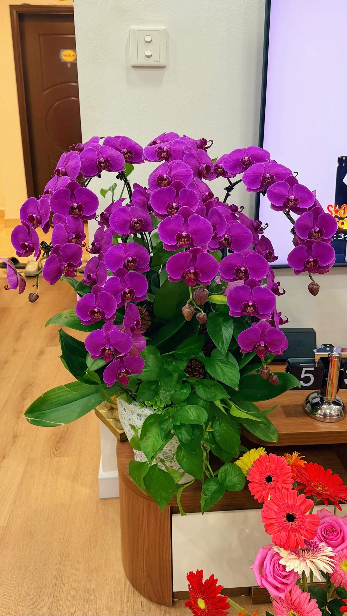 tet dam am cua vo chong nsnd cong ly bacfe8e542dd4f29b6c155356394f925 111.jpg