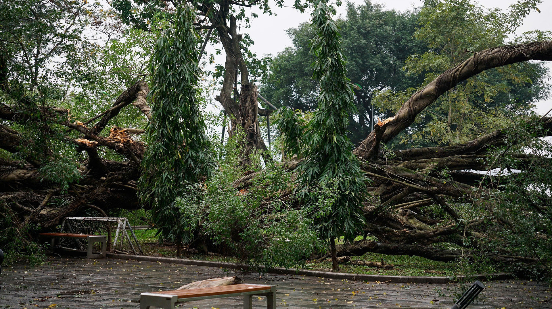 z7560069124469 fb6dd657ff035a3742a1fd7a253a0b65 1614.jpg