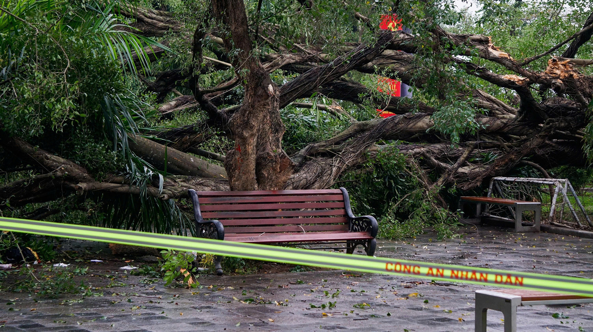 z7560069150828 2d70f4c1e48d8c5ce848bf1bb5e9dc25 1613.jpg