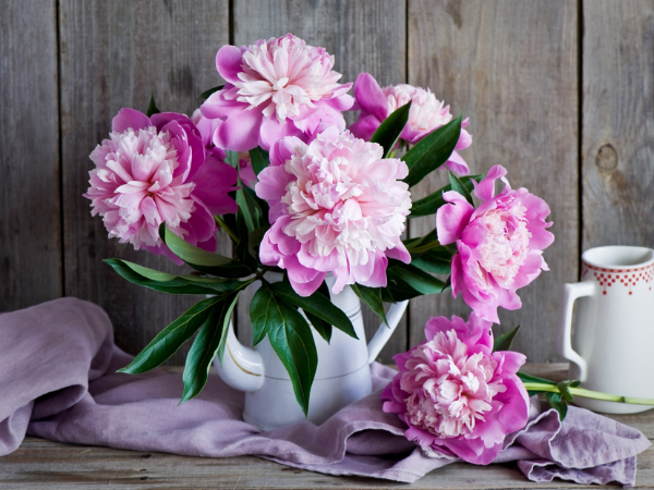 Từ ngày 10 âm lịch vía Thần Tài: 3 con giáp đủ đầy giàu có, vạn sự suôn sẻ, vận may tăng đều, phúc khí ngời ngời, cuộc đời lên hương, túi tiền rủng rỉnh - Ảnh 1