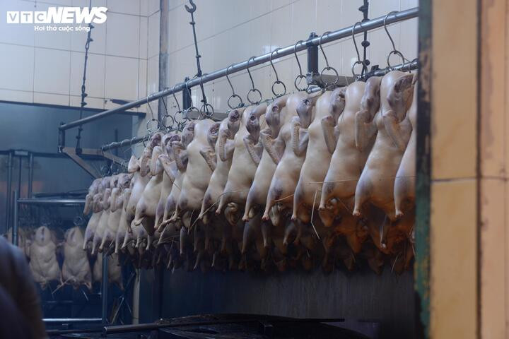 Vịt được làm sạch, sơ chế, sẵn sàng vào lò quay.