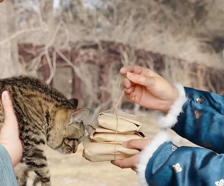 Một khung cảnh được tái hiện cho thấy rằng ở Trung Quốc xưa, người ta tặng quà để chào đón một con mèo vào nhà. (Ảnh: RedNote)