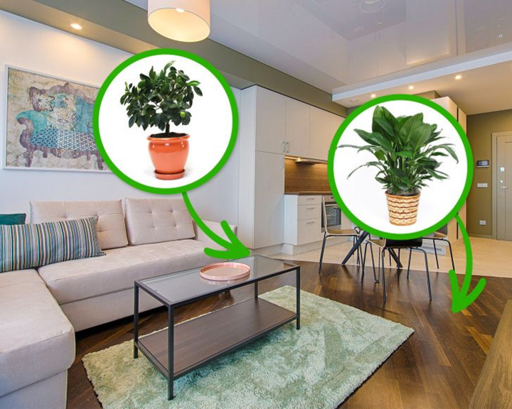 13 mẹo vặt khử mùi hôi trong nhà bạn - 14