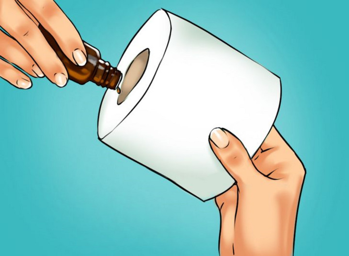 13 mẹo vặt khử mùi hôi trong nhà bạn插图12 13 mẹo vặt khử mùi hôi trong nhà bạn - 13