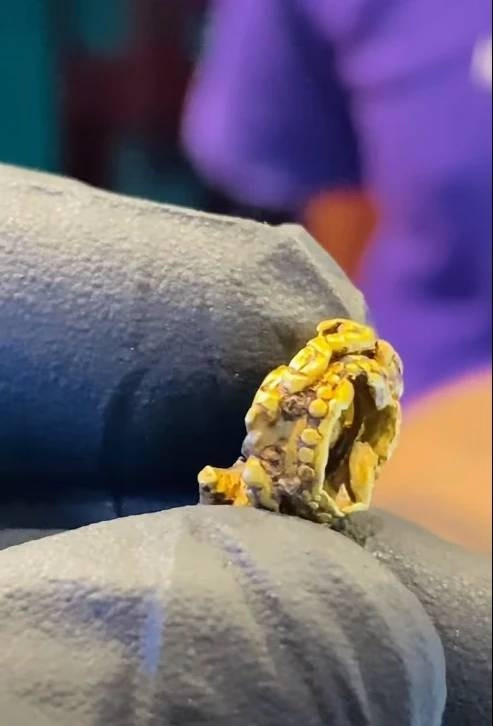 Nhặt được vàng khi đi đánh cá, ngư dân mang đi kiểm tra thì sốc nặng - Ảnh 2.