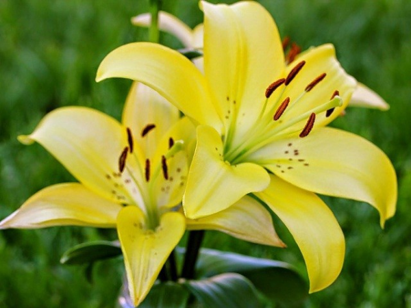 3 con giáp thu lộc dồn dập, may mắn ngập tràn插图1 3 con giáp thu lộc dồn dập, may mắn ngập tràn插图1