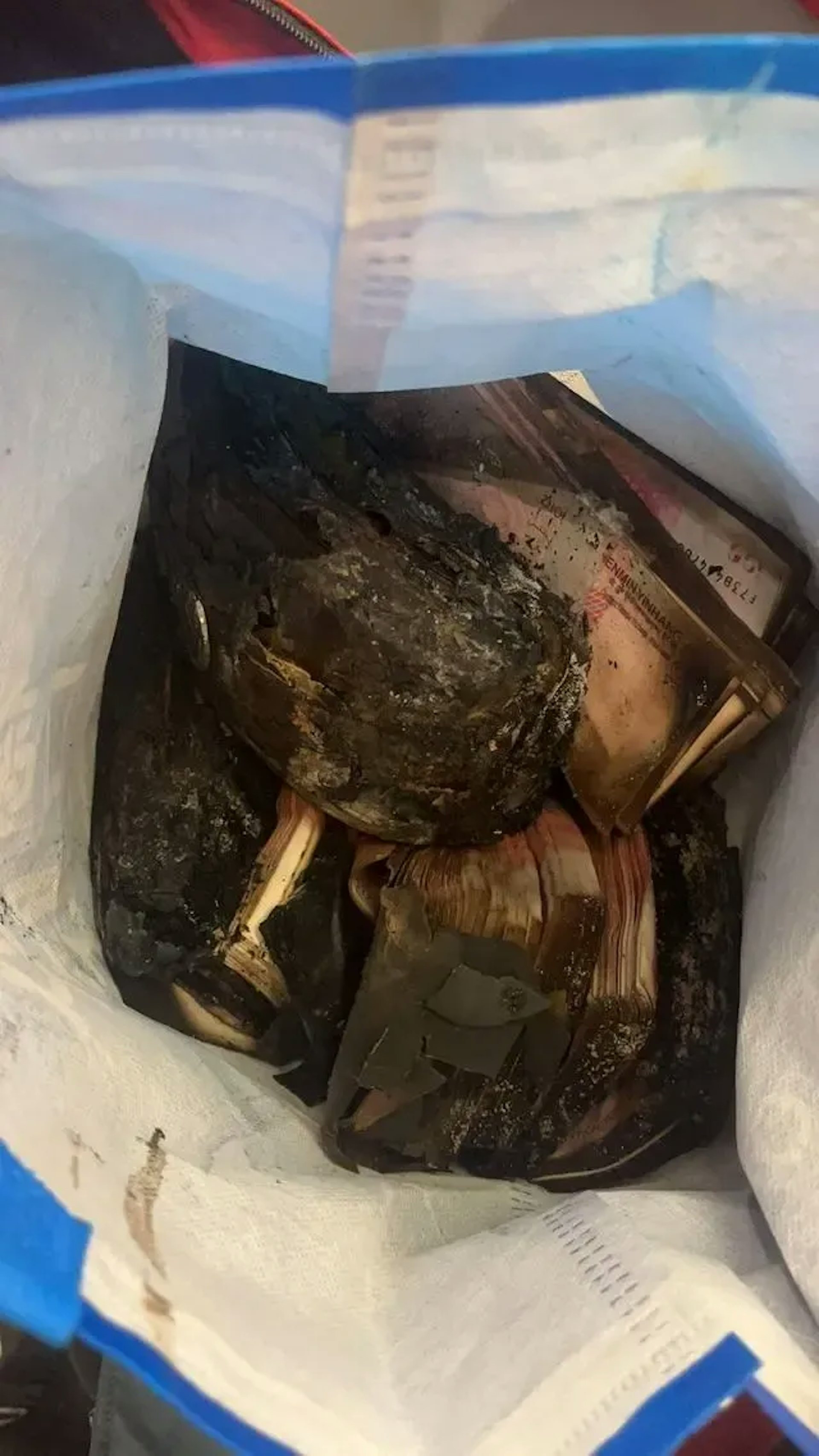 Hai ông bà sốc nặng khi 1,5 tỷ đồng tiền tiết kiệm bị cháy- Ảnh 2.