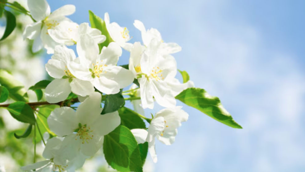 Số cuối ngày sinh Âm lịch tiết lộ người sâu sắc, đã cam kết là không rời bỏ - Ảnh 4.