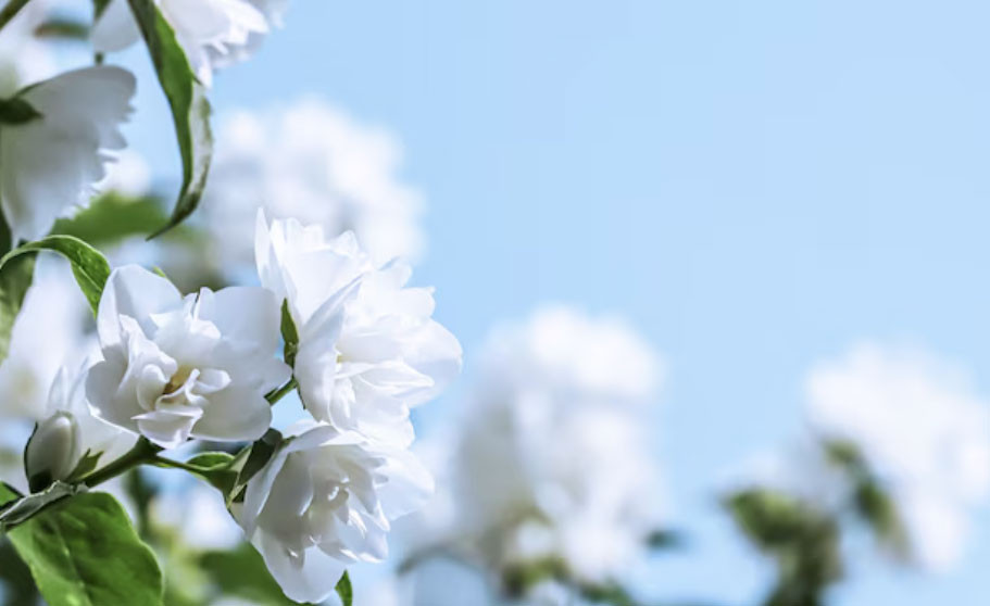 Số cuối ngày sinh Âm lịch tiết lộ người sâu sắc, đã cam kết là không rời bỏ - Ảnh 2.