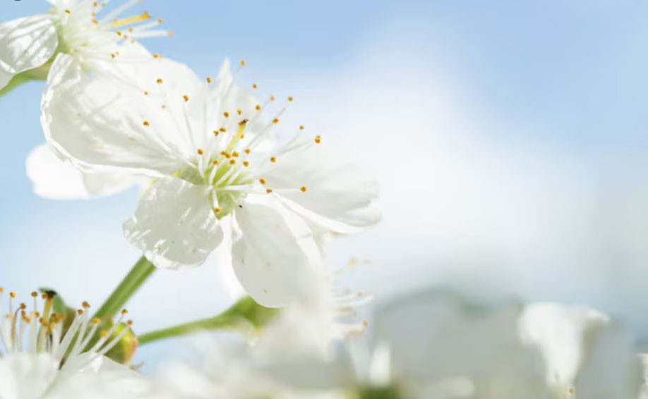 Số cuối ngày sinh Âm lịch tiết lộ người sâu sắc, đã cam kết là không rời bỏ - Ảnh 3.