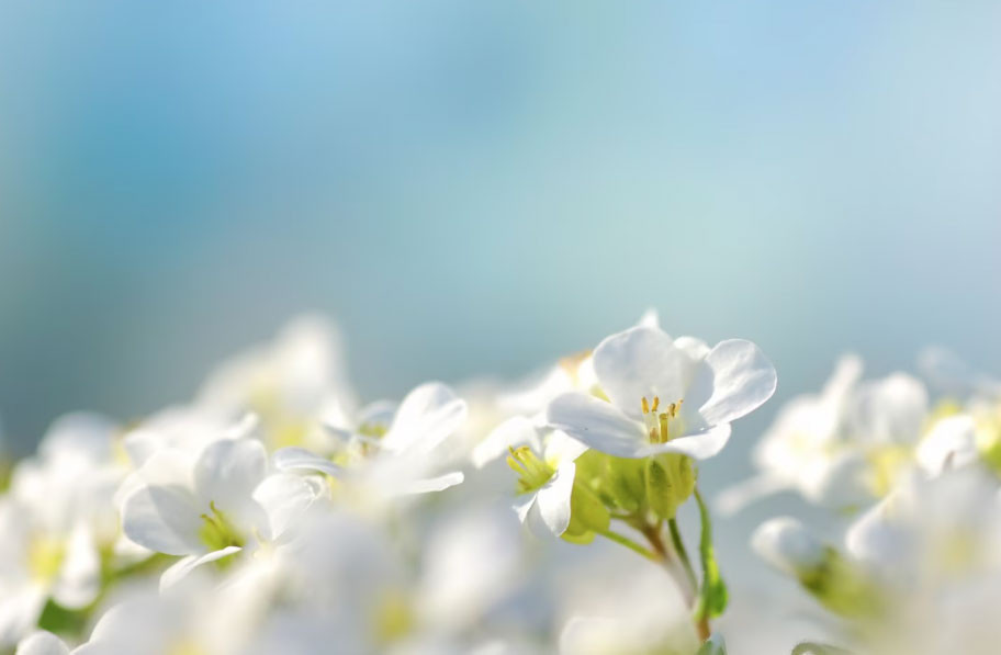 Số cuối ngày sinh Âm lịch tiết lộ người sâu sắc, đã cam kết là không rời bỏ - Ảnh 1.