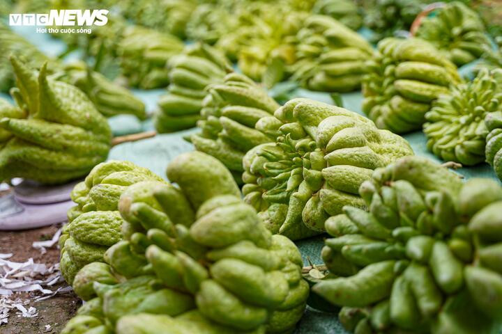 Người trồng cho biết, do tác động bởi thời tiết nên giá phật thủ năm nay tăng 20 - 30% so với năm trước, riêng loại 1 có mức giá cao gấp đôi.