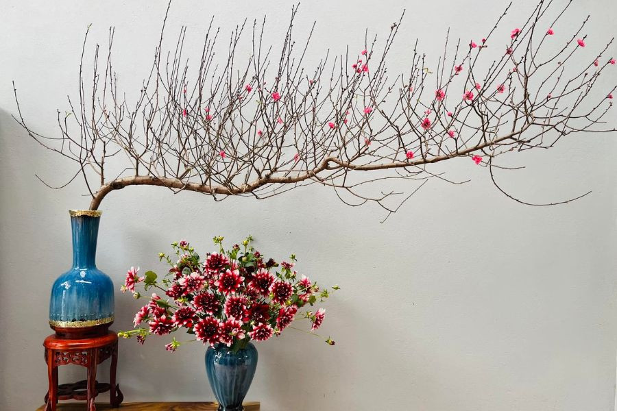 Mẹo chọn mua đào đẹp, bền, phong thủy đón Tết  - Ảnh 2.