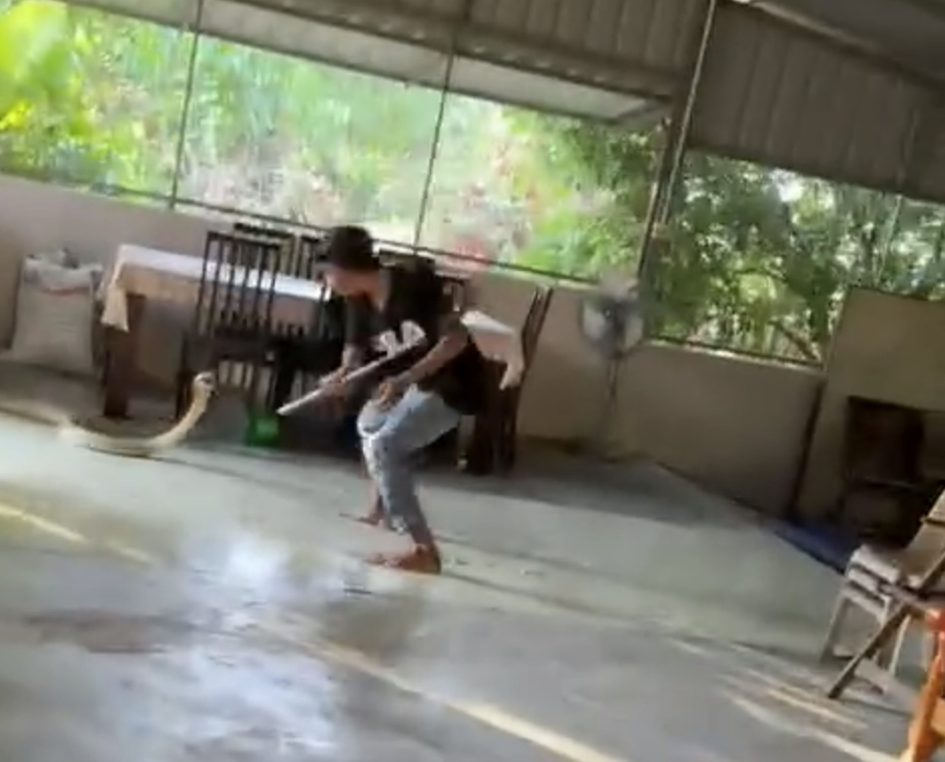 Người đàn ông dùng liềm chiến đấu với rắn hổ mang dài 2 mét - Ảnh 1.