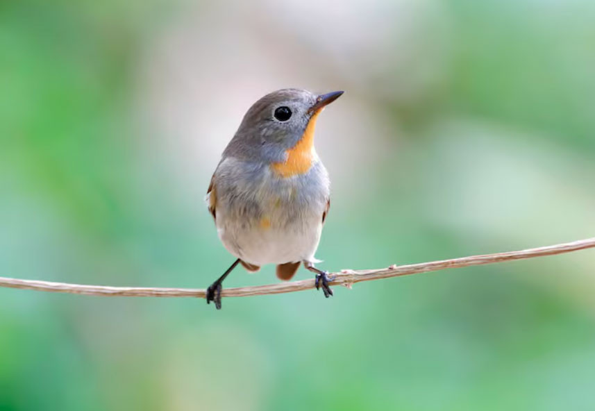 Những ngày sinh Âm lịch được cho là 'để phúc cho con' - Ảnh 2.