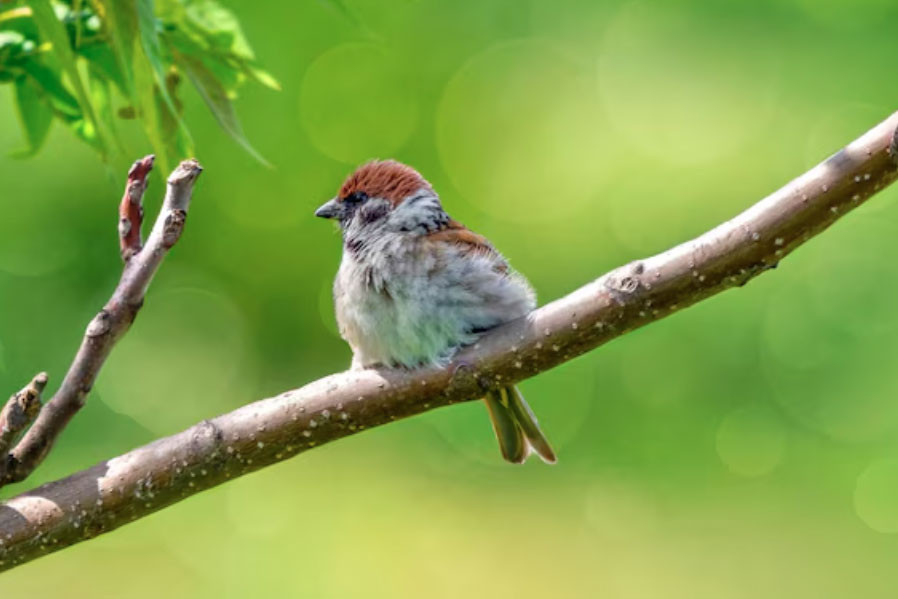 Những ngày sinh Âm lịch được cho là 'để phúc cho con' - Ảnh 3.