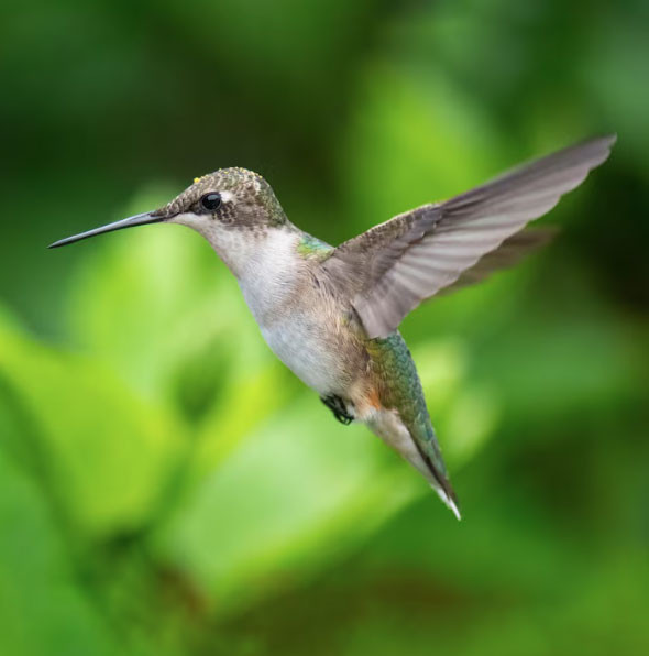 Những ngày sinh Âm lịch được cho là 'để phúc cho con' - Ảnh 1.