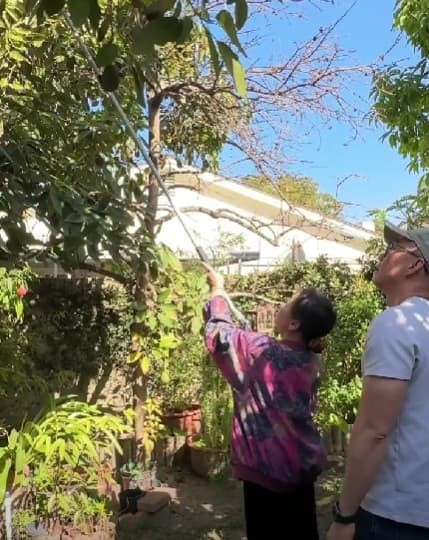 Nữ danh ca nổi tiếng sau cơn đột quỵ, cuộc sống bị