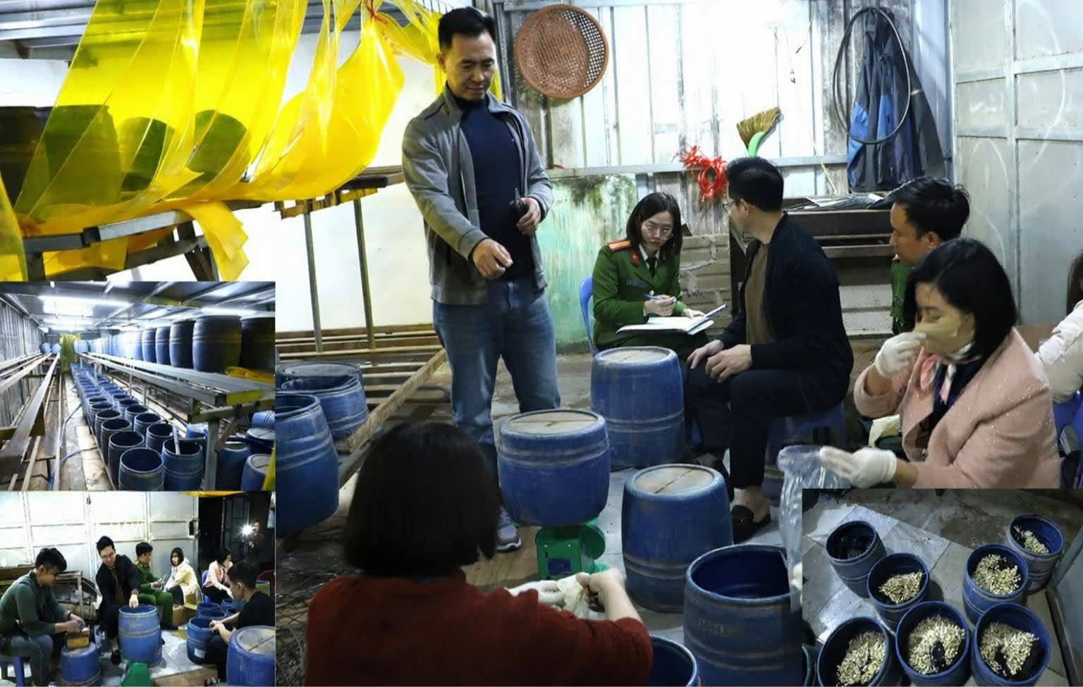 5b67e533 fdd6 4deb 9b5c ca25a307733e.jpeg