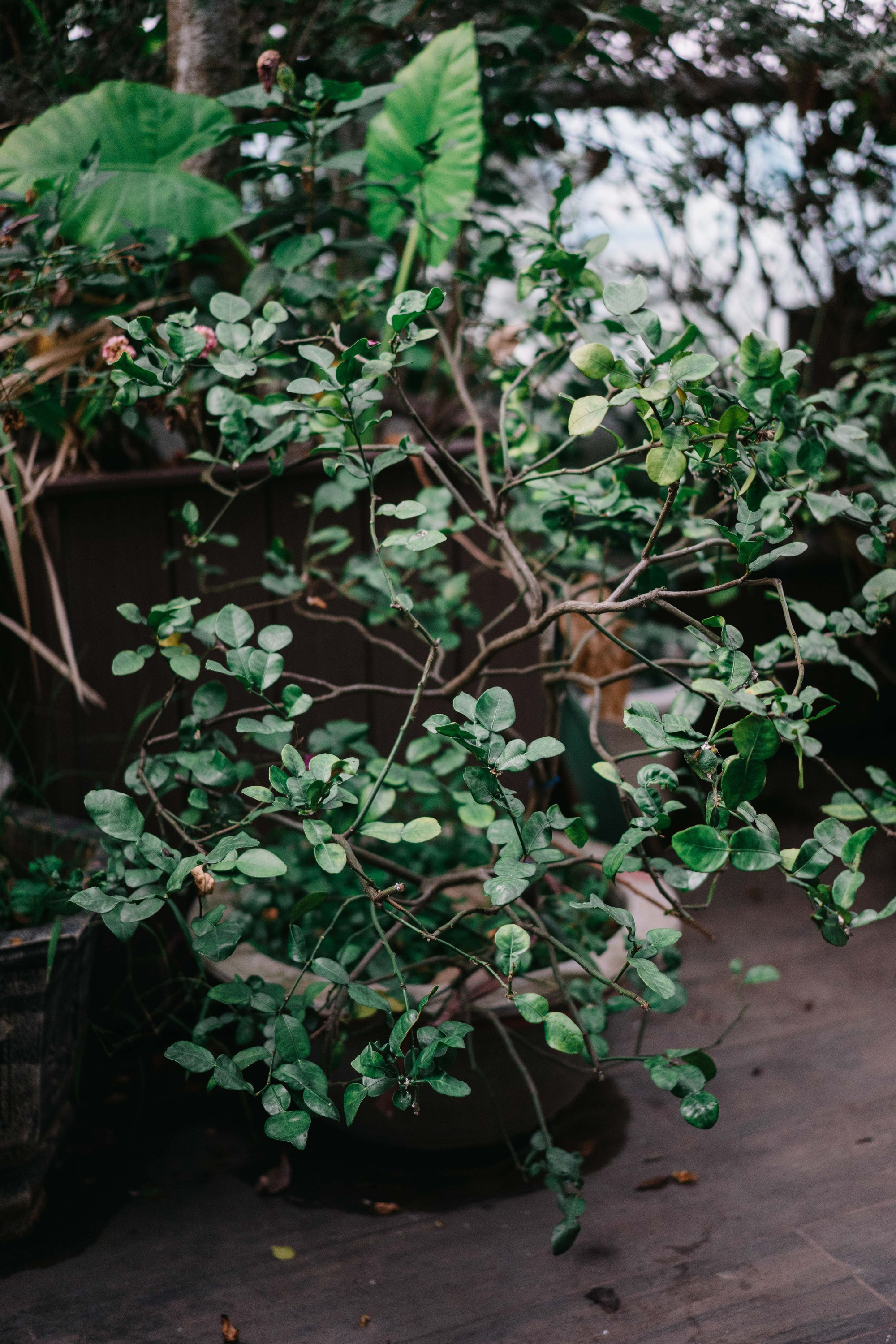 Penthouse triệu đô của ‘phú bà’ Hannah Olala ngập tràn sắc Xuân插图14 Điểm 'khác thường' trong penhouse lộng lẫy đón Tết sớm của 'nữ hoàng livestream' khiến nhiều người thán phục khi biết lý do- Ảnh 23.