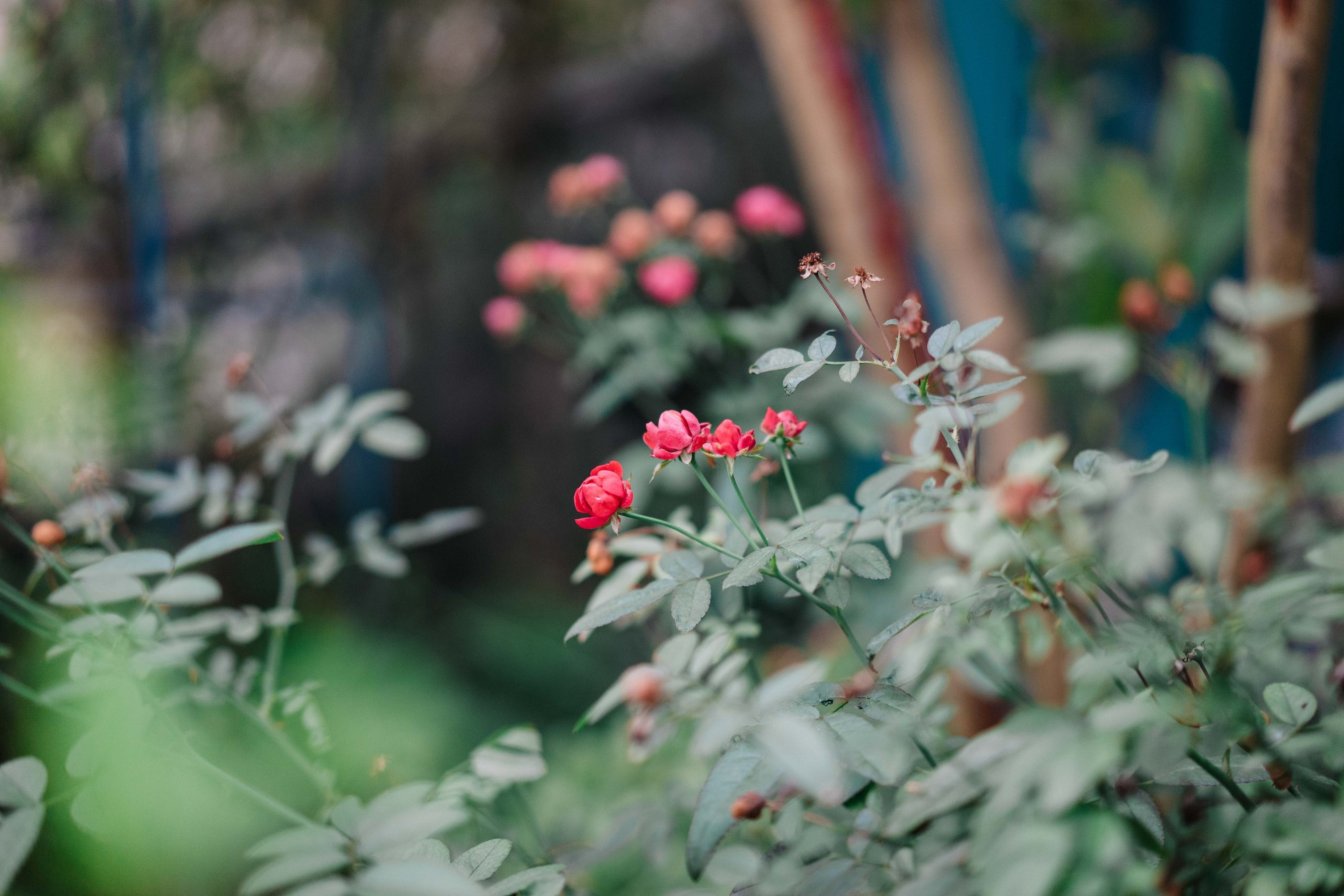 Điểm 'khác thường' trong penhouse lộng lẫy đón Tết sớm của 'nữ hoàng livestream' khiến nhiều người thán phục khi biết lý do- Ảnh 22.