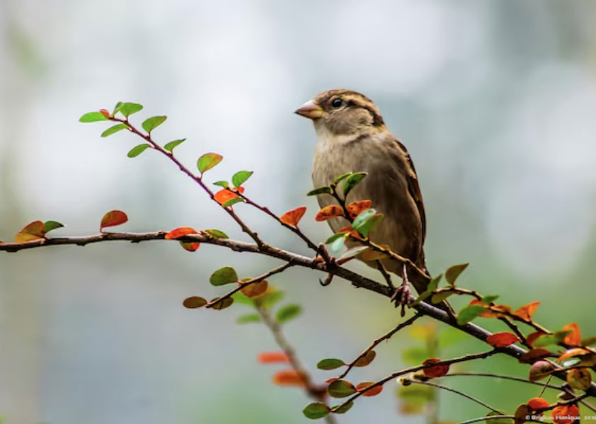 4 khung giờ sinh Âm lịch mang phúc khí, tuổi già đủ đầy, thong dong插图2 4 khung giờ sinh Âm lịch mang phúc khí, tuổi già đủ đầy, thong dong - Ảnh 3.