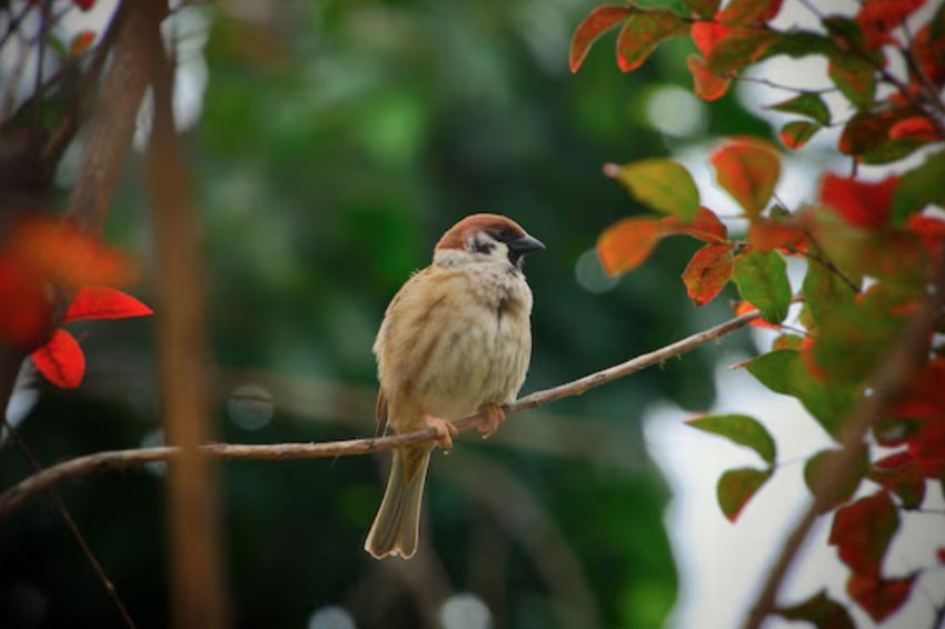 4 khung giờ sinh Âm lịch mang phúc khí, tuổi già đủ đầy, thong dong插图1 4 khung giờ sinh Âm lịch mang phúc khí, tuổi già đủ đầy, thong dong - Ảnh 2.