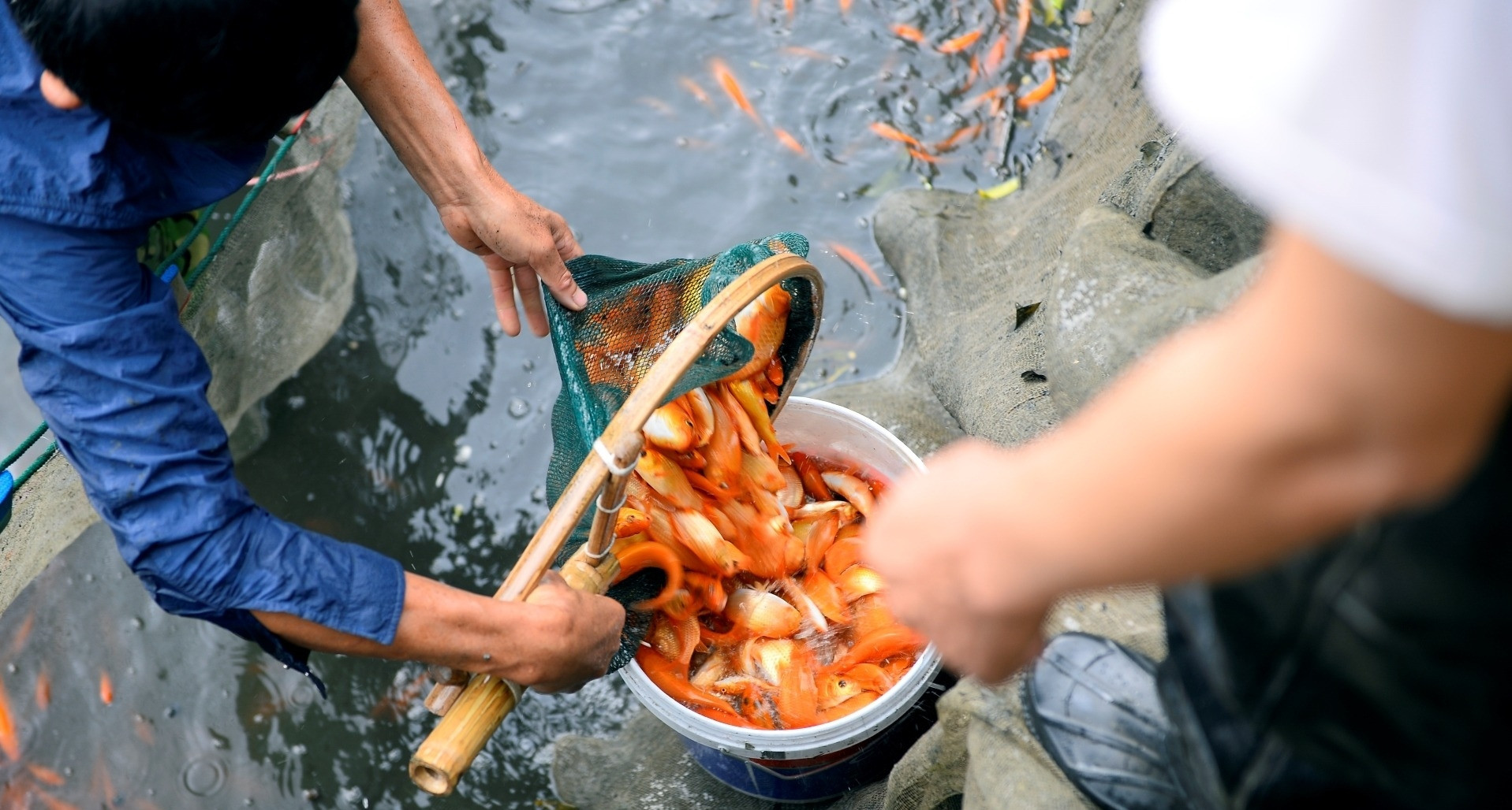 Mâm cúng ông Công ông Táo của ‘nàng dâu hào môn’ Đỗ Hà插图12