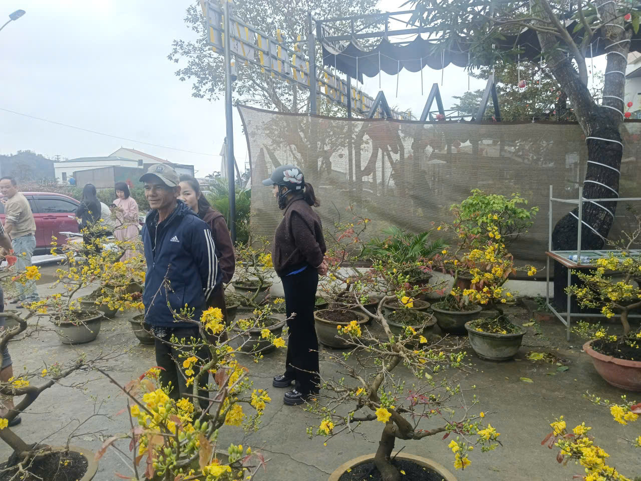 Người dân Nghệ An ủng hộ người đàn ông bán mai Tết sau vụ bị lừa - Ảnh 5.