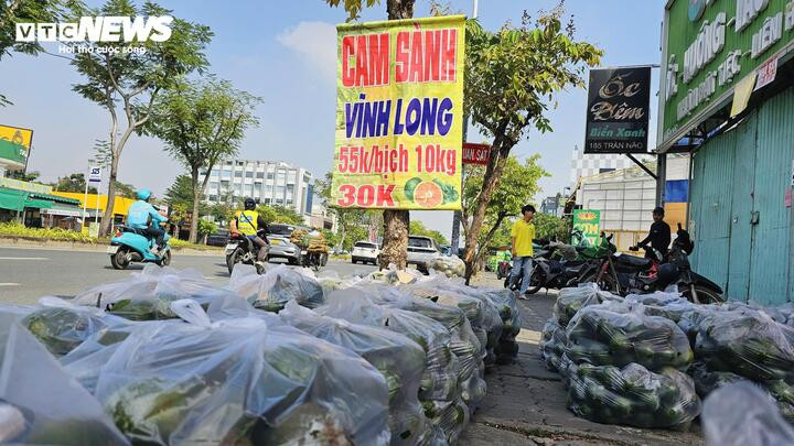 Cam sành được bày bán dọc vỉa hè đường Trần Não, phường An Khánh, TP.HCM.