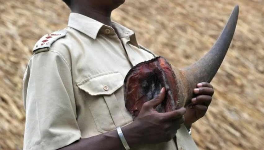 “Đại gia kim cương” Chu Đăng Khoa vừa bị bắt là ai?插图1 screenshot-1773387621-1773387710.png