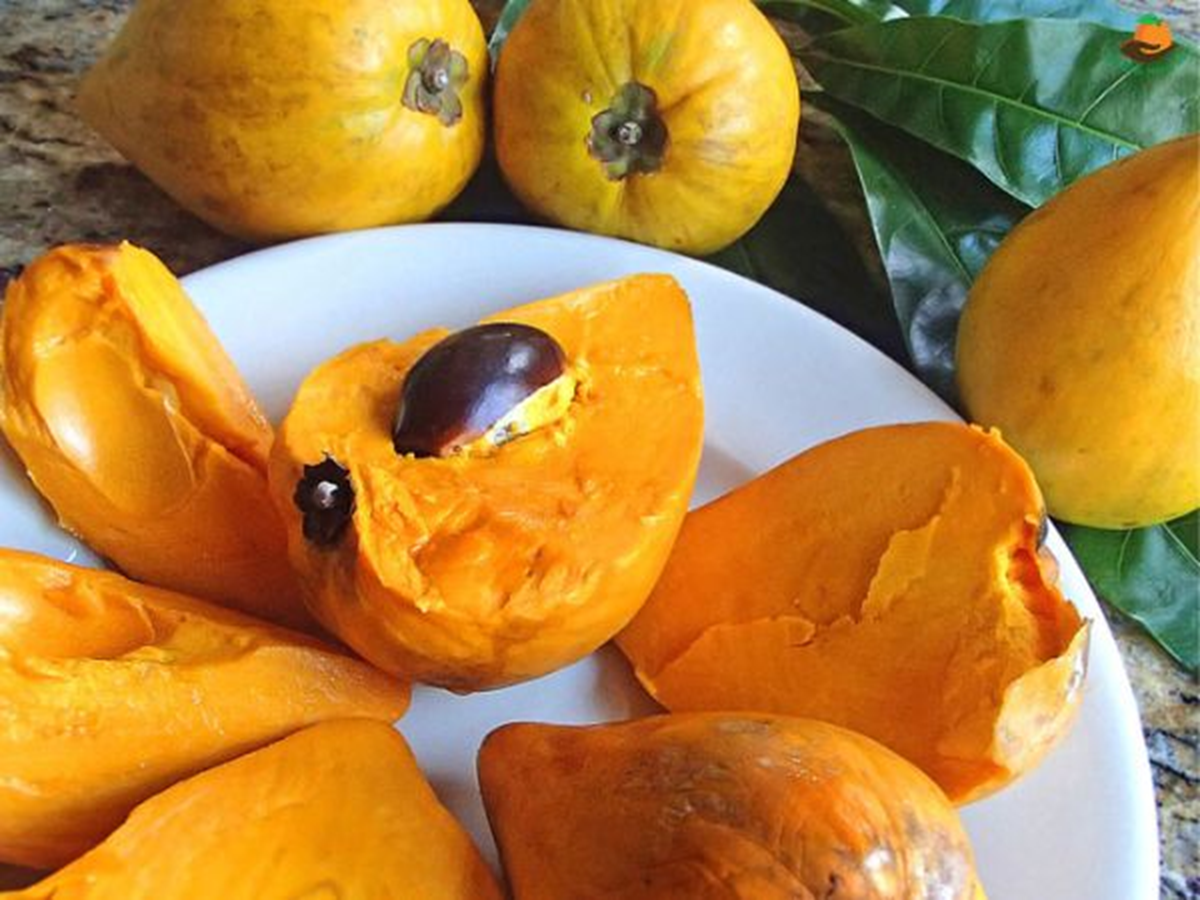 Loại quả Việt Nam xưa rụng đầy gốc, nay giá gần 2 triệu/kg ở nước ngoài - Ảnh 1.