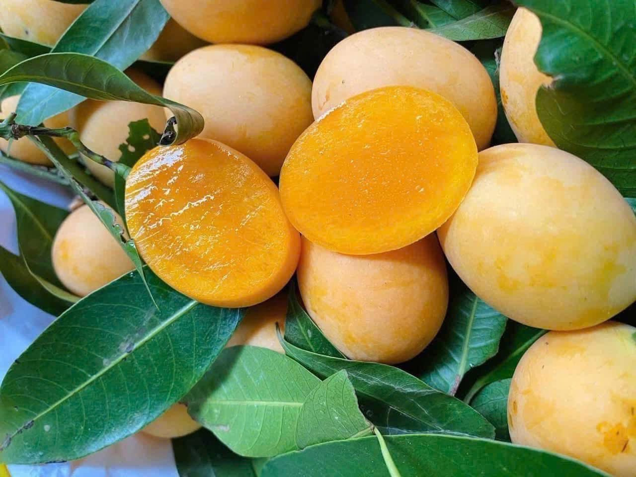 Loại quả giải nhiệt bán đầy chợ nhưng người đau dạ dày không nên ăn插图 634159859_3146122952242783_6805860654318733341_n.jpg