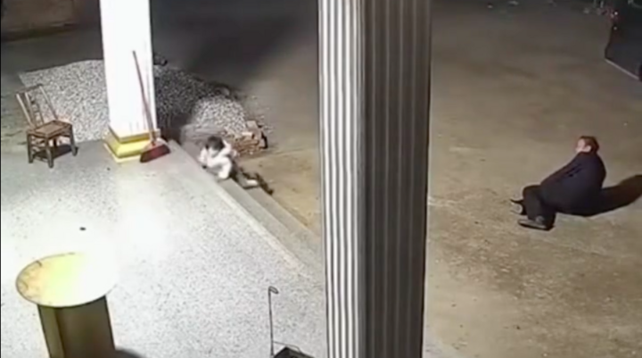 Dân mạng tấm tắc ngợi khen hành động cực nhanh của em bé. (Ảnh chụp màn hình)