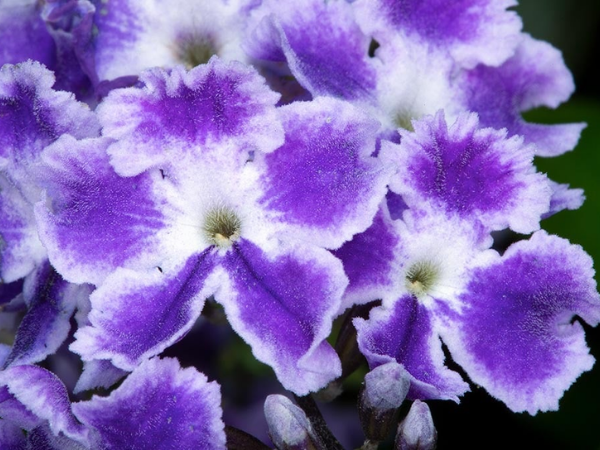 Đúng 20h hôm nay, ngày 16/3/2026, 3 con giáp Phúc Lộc đầy nhà, Phúc Khí trải dài vạn dặm, vận may liên tiếp gõ cửa, cuộc đời giàu sang插图 Đúng 20h hôm nay, ngày 16/3/2026, 3 con giáp Phúc Lộc đầy nhà, Phúc Khí trải dài vạn dặm, vận may liên tiếp gõ cửa, cuộc đời giàu sang插图